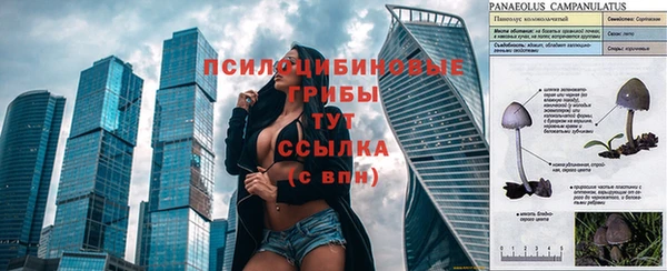 герыч Алексин
