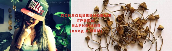 амф Алексеевка